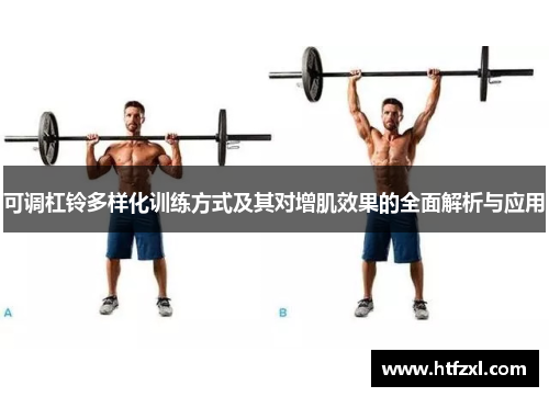 可调杠铃多样化训练方式及其对增肌效果的全面解析与应用