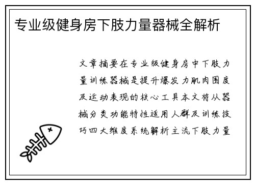 专业级健身房下肢力量器械全解析