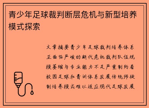青少年足球裁判断层危机与新型培养模式探索